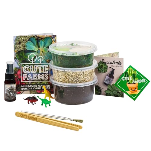 Terrarium Starter Kit