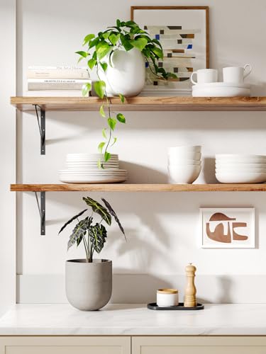 6 Inch Ceramic Plant Pot (Neutral Gray / 6 Inch)