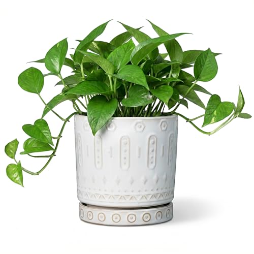 Ceramic Planter (6 Inch / White - 2)
