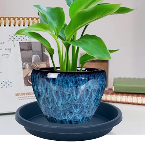 Plant Saucer 10 Inch Plastic Round 5 Pack Heavy Duty Drip Trays for Indoor Outdoor Pots (10" (5 Pack) / Dark_blue)