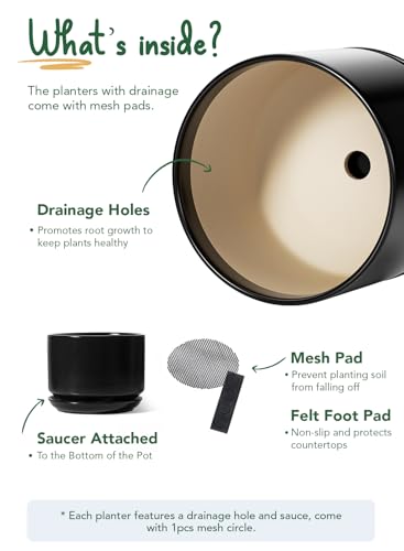 10 + 12 Inch Ceramic Plant Pots (Black / 10"+12")