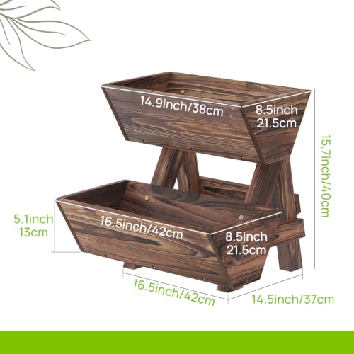 Vertical Garden Planter 2 tier Raised Garden Bed Tiered Wood Planter Box (Carbonized / 2-Tier-Small)
