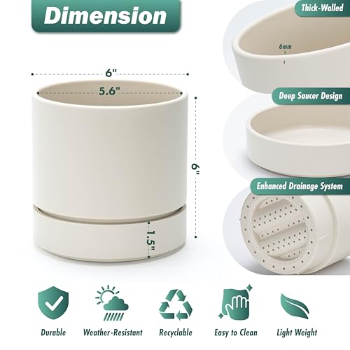 6 Inch Planter Pot with Drainage Hole & Saucer (6" (1 Pack) / Oatmeal)
