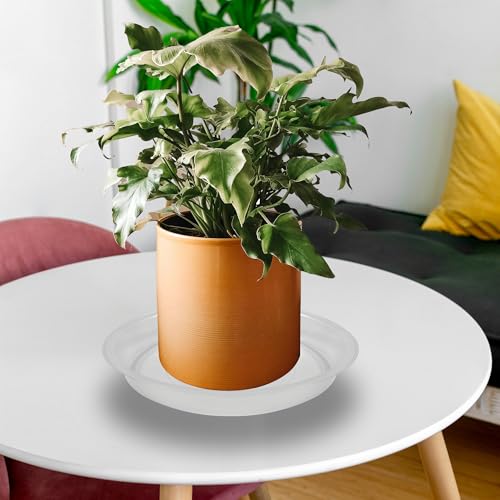 6 Pack 8 Inch Round Plant Saucers for Less 6.8 Inch Pot Indoors Outdoors Plant Trays for Pots Planter Saucer Plastic Plant Drip Tray Planter Water Tray for Potted Plants (8"(6pcs) / Clear)