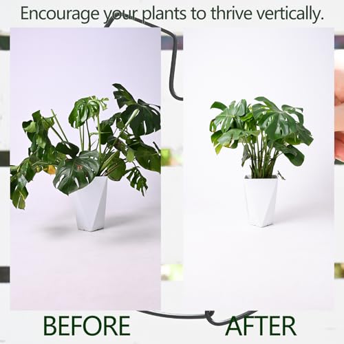 5PCS Black Monstera Plant Stem Support (5 Count)