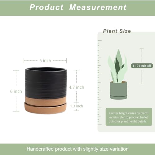 6 Inch Plant Pots