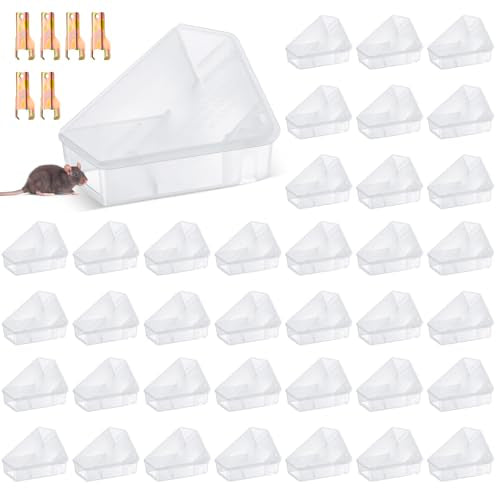 48 Pcs Triangle Mice Rat Bait Stations (Transparent)