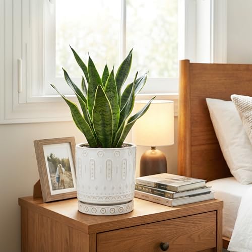 Ceramic Planter (6 Inch / White - 2)