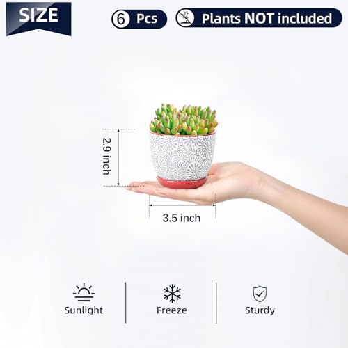 Ceramic Succulent Pots (Assorted Colors / 3.5 Inch, Set of 6)