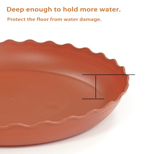 2 Pack Plant Saucer 10 inch (10" (2 pack) / Terracotta)