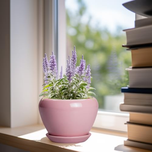 6 Inch Plant Pot (6 Inch / Pink)