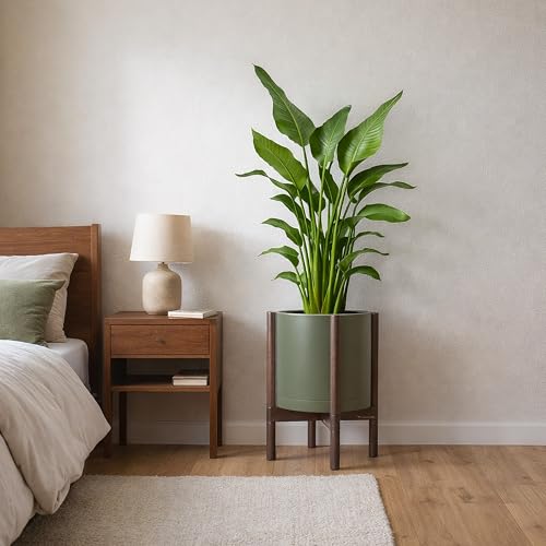 Plastic Pot with Walnut Wood Stand (Olive Pot + Walnut Color Stand / 12 Inch)