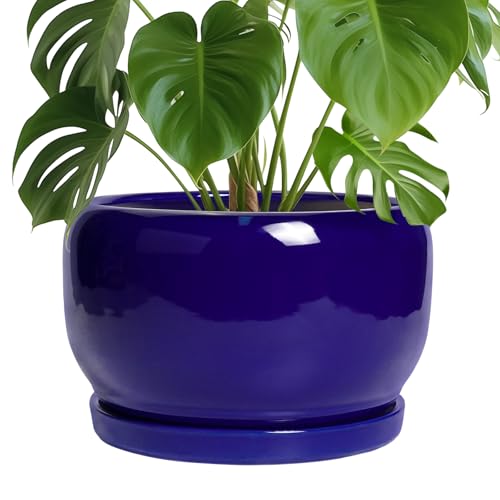 Ceramic Plant Pot