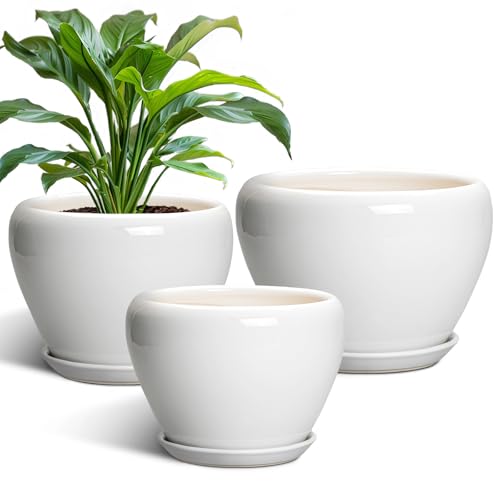 10+8+6 Inch Ceramic Planter (10+8+6 Inch / White)
