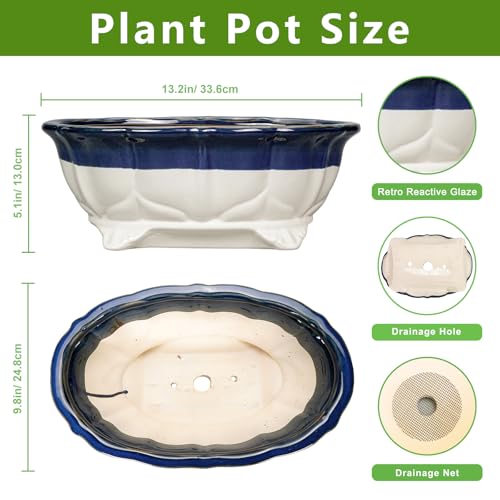 Ceramic Bonsai Tree Pots (13.5 Inch / Oval Beige-blue)