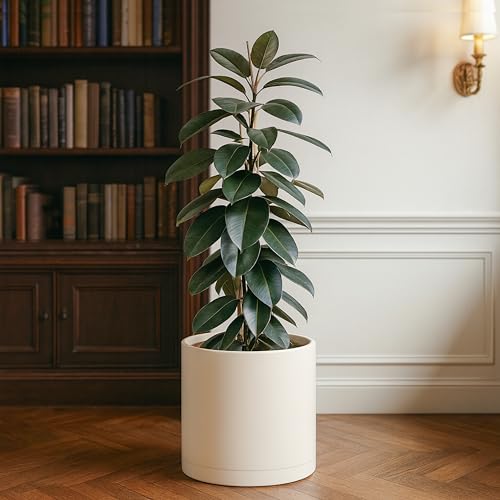 Plastic Planter Pot with Saucer (14 Inch / Oatmeal)