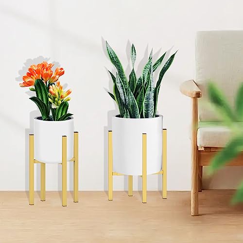Plant Stand for 10" (2 - Slim / Slim Golden 10-16")