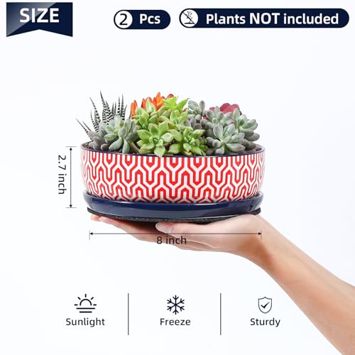 Ceramic Succulent Pots (Assorted Colors / 8 inch)