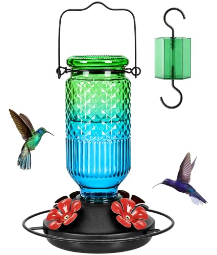 Glass Hummingbird Feeder for Outdoors (Green-Blue Ombre)
