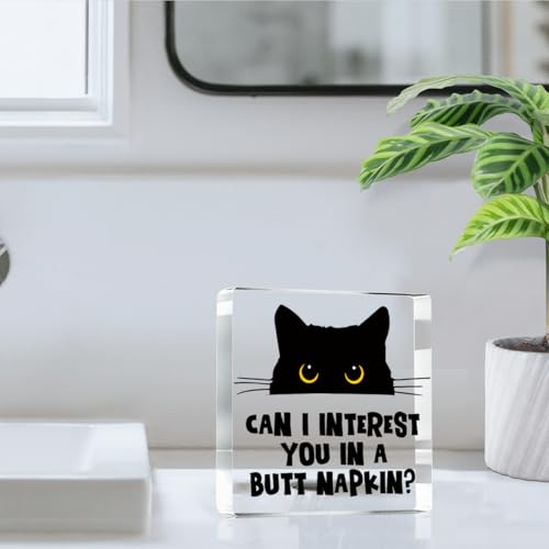 Can i Interest you in a Butt Napkin Funny Sign (Interest)