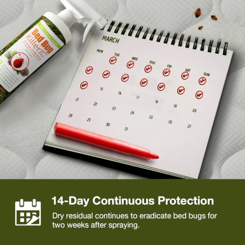 by EcoRaider Bed Bug Killer Spray 1 Gallon Jug (128 Fl Oz (Pack of 1))