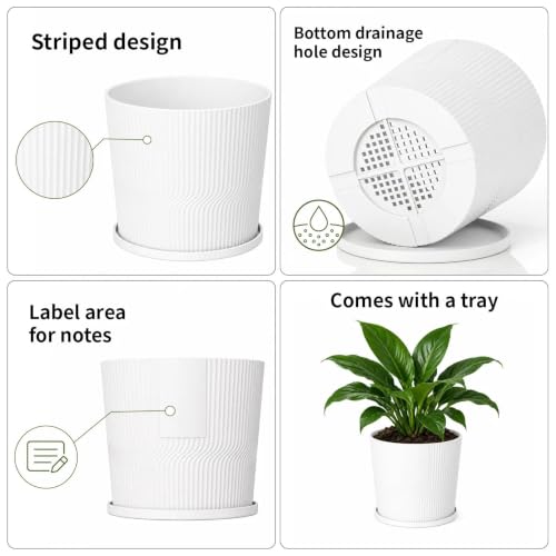 3 Pack Plant Pots Indoor (White / 4.8''+5.5''+6'')