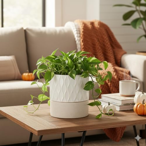 Ceramic Self Watering Plant Pot for Indoor Plants (Cream White & Brown Net / 6" Self Watering)