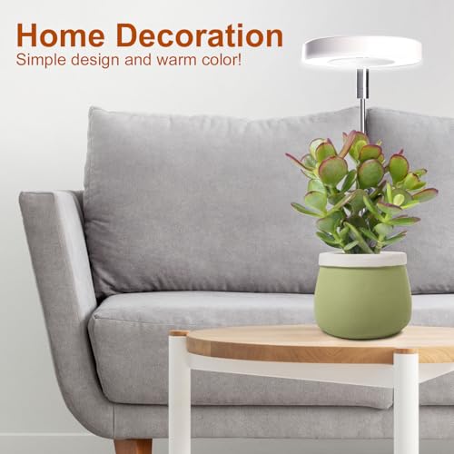 Grow Lights for Indoor Plants Small Potted