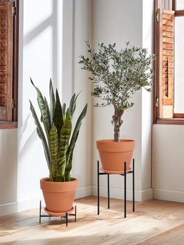 12 Inch Terracotta Pot Set of 2 with Saucer (12/12 inch -2 pcs)