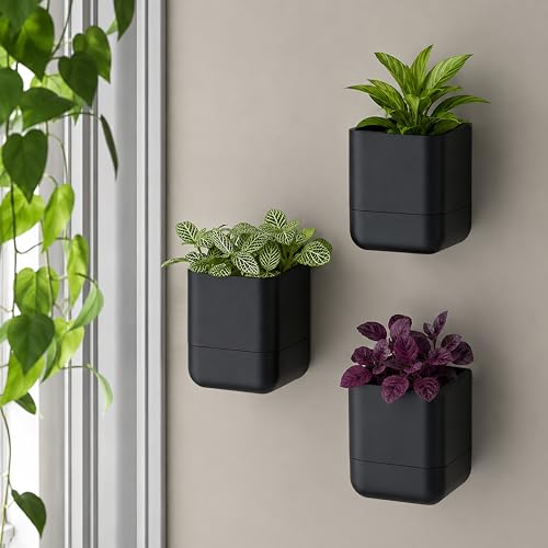 4.5 Inch Wall Mounted Self (4.5" (1 Pack) / Black)
