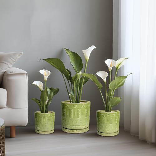 Ceramic Pots for Plants (8 Inch / Green - 2)