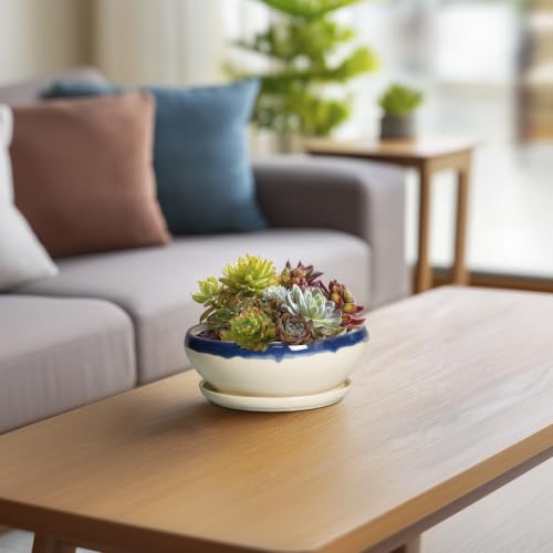 Succulent Pots 6 Inch (6 Inch / Blue-beige)