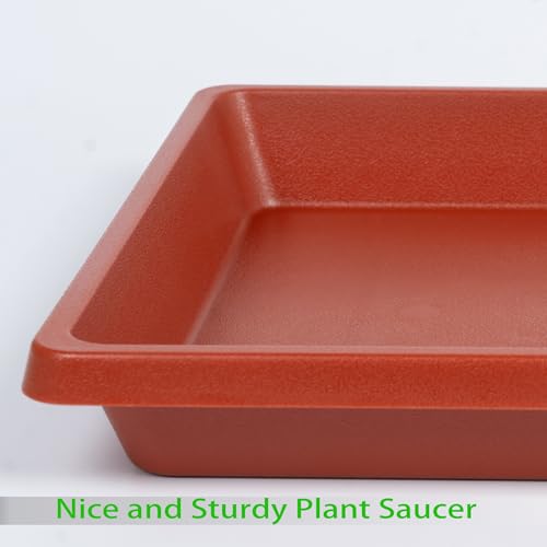 Square Plant Saucer 14 Inch 2 Pack (14"(2Pack) / Terra Cotta)