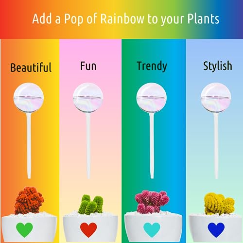 Plant Watering Globes 6 Pack (6pk 200ml Clear Rainbow)