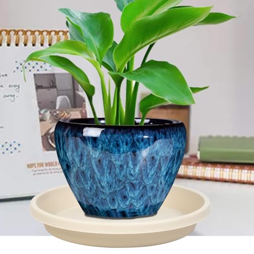 Plastic Plant Saucer Round 10 Inch 2 Pack Heavy Drip Trays for Indoor and Outdoor Plants Pots (10" (2 Pack) / Beige)