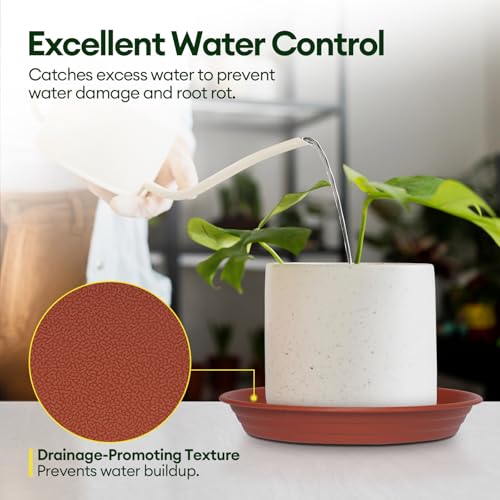 6 Pack 12" Plant Saucers Heavy Duty Plastic Plant Trays for Pots (12"(6 pack) / Brown)