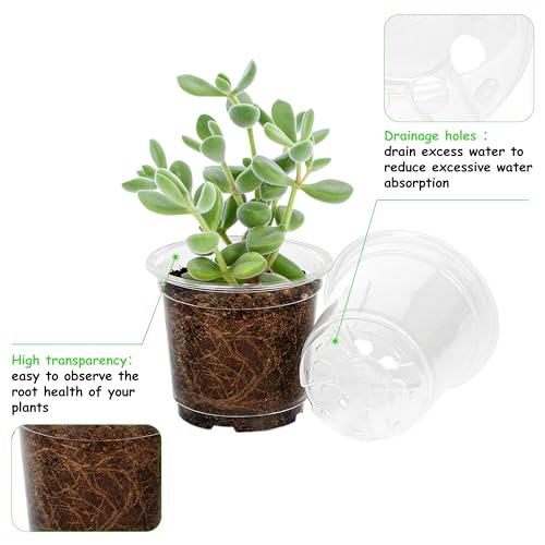 60 Pack 4 Inch Clear Nursery Pots with Drainage Hole (4 Inch 60 pack)