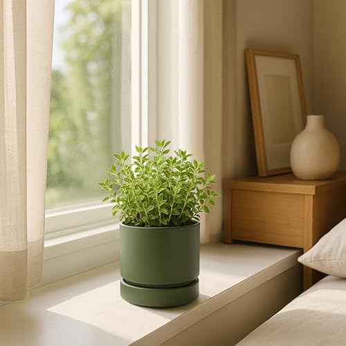 4 Inch Planter Pot with Drainage Hole & Saucer (4" (3 Pack) / Olive)