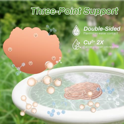 2 Pack Bird Bath Copper Disk (2Pcs)