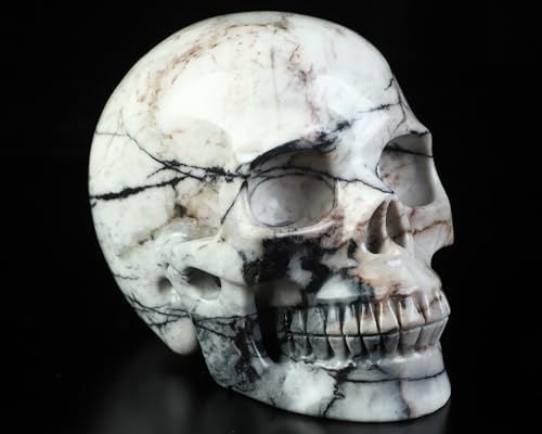 5.0” Black Picasso Jasper Crystal Skull (5.0 Inches Black Picasso Jasper1)