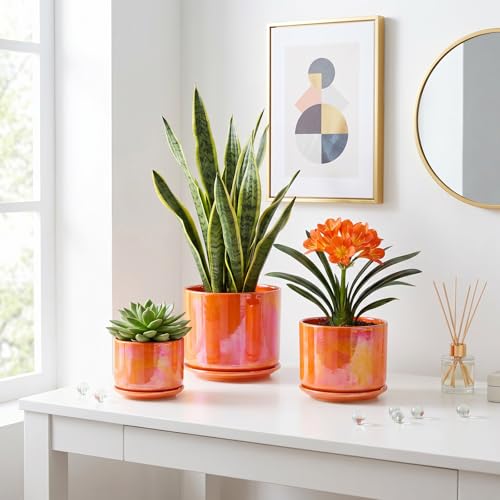 Ceramic Plant Pots (Orange)