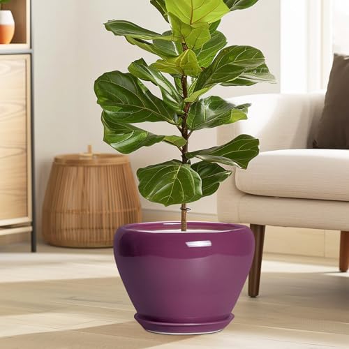 10 Inch Plant Pot (10 Inch / Purple)