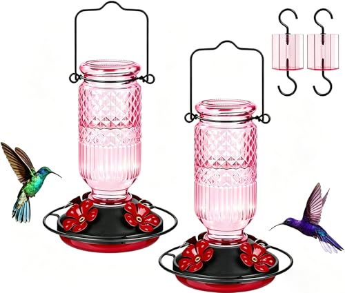 Glass Hummingbird Feeder for Outdoors Hanging (Pink)