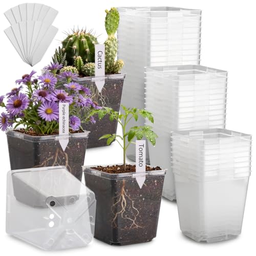 5.5 Inch Clear Square Nursery Pots with Drainage & Labels (Clear Pot+labels / 5.5Inch)