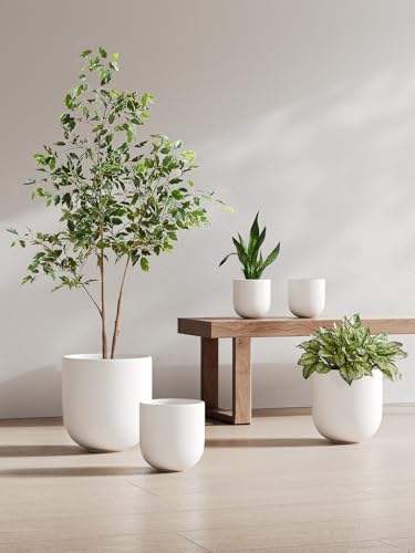 6 Inch Ceramic Plant Pot (White / 6 Inch)