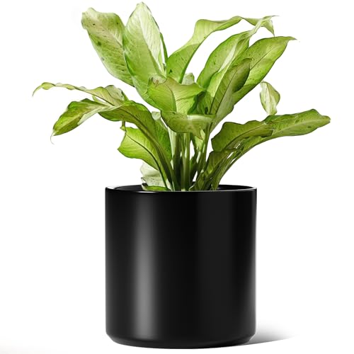 12 Inch Pot for Plants (12 Inch / Black)