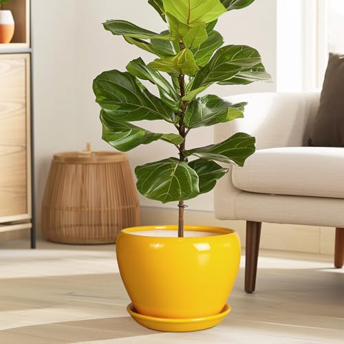 8 Inch Plant Pot