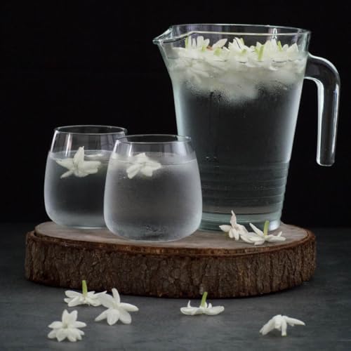Arabian Jasmine Mogra (2 Count)