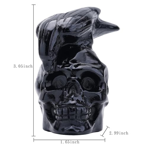 Natural Black Obsidian Crystal Skull and Crow Head Hand Carved Reiki Healing Stone Statue Healing Home Office Art Room Decoration (Obsidian / 3inch)
