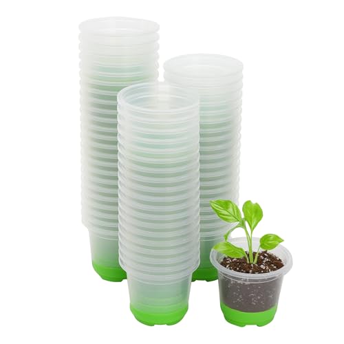 Clear Nursery Pots with Silicone Base (60 Count)